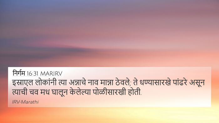 निर्गम 16:31 MARIRV Bible Verse Image