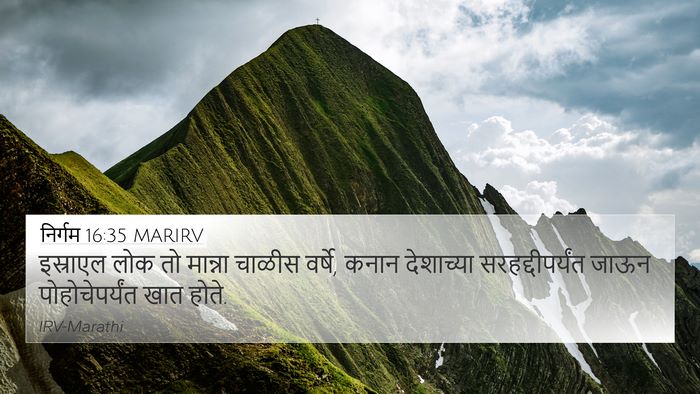 निर्गम 16:35 MARIRV Bible Verse Image