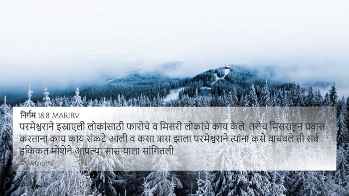निर्गम 18:8 MARIRV Bible Verse Image