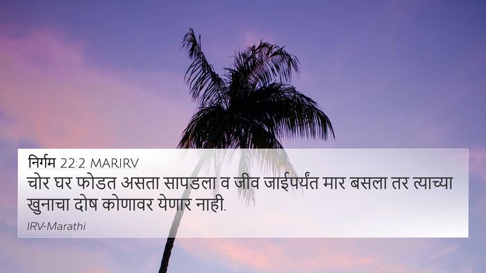 निर्गम 22:2 MARIRV Bible Verse Image