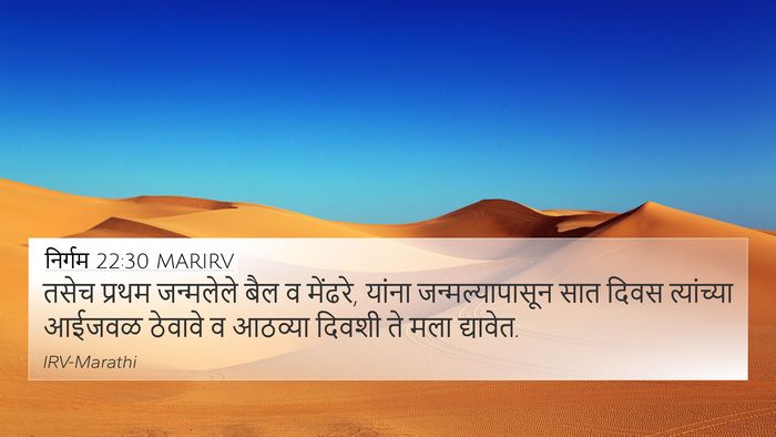 निर्गम 22:30 MARIRV Bible Verse Image