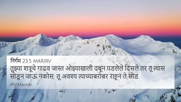निर्गम 23:5 MARIRV Bible Verse Image