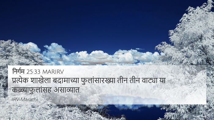 निर्गम 25:33 MARIRV Bible Verse Image
