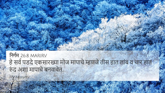 निर्गम 26:8 MARIRV Bible Verse Image