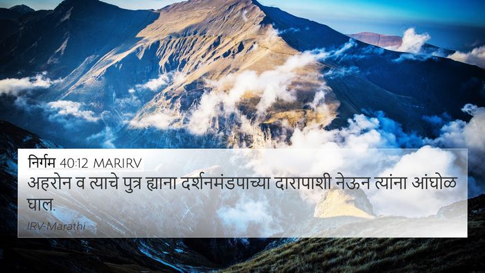 निर्गम 40:12 MARIRV Bible Verse Image