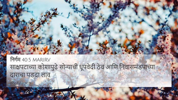 निर्गम 40:5 MARIRV Bible Verse Image