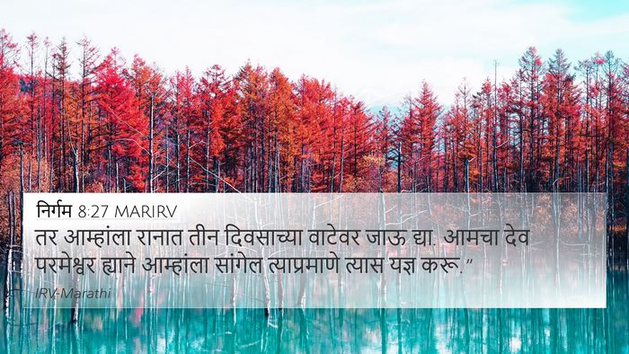 निर्गम 8:27 MARIRV 4K Wallpaper - तर आम्हांला रानात - 4K Wallpaper Bible Verse