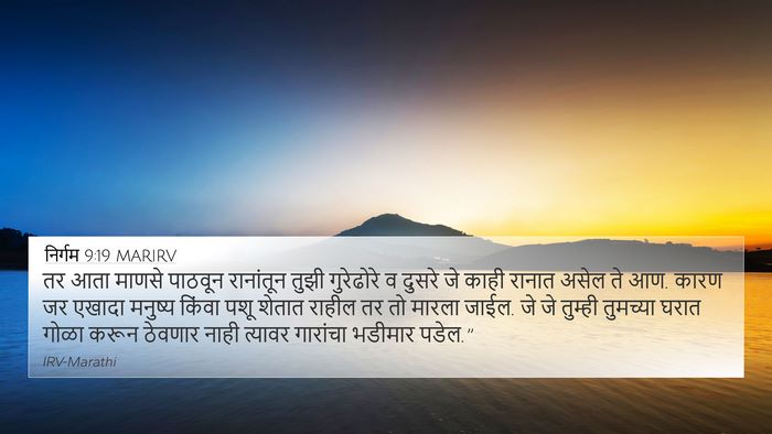 निर्गम 9:19 MARIRV Bible Verse Image