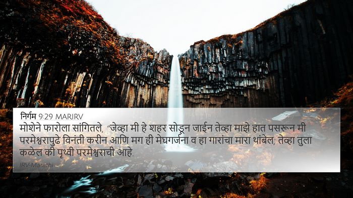 निर्गम 9:29 MARIRV Bible Verse Image