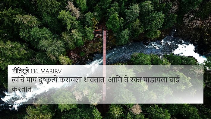 नीतिसूत्रे 1:16 MARIRV Bible Verse Image