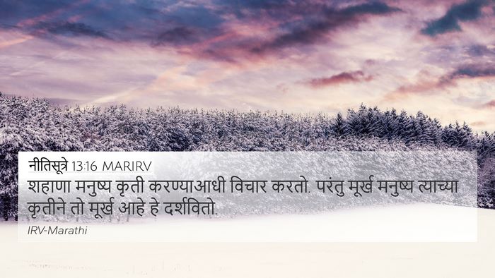 नीतिसूत्रे 13:16 MARIRV Bible Verse Image