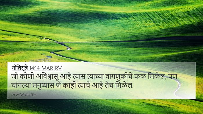 नीतिसूत्रे 14:14 MARIRV Bible Verse Image
