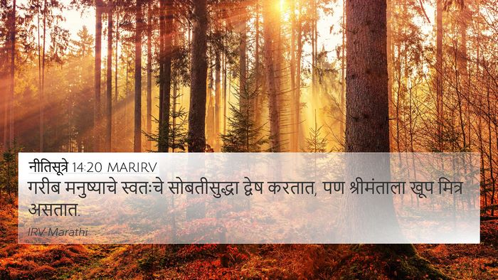 नीतिसूत्रे 14:20 MARIRV Bible Verse Image
