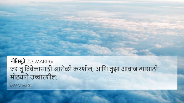 नीतिसूत्रे 2:3 MARIRV Bible Verse Image