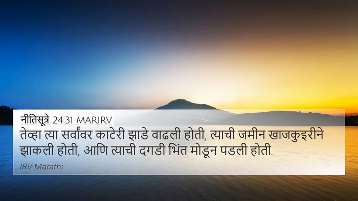 नीतिसूत्रे 24:31 MARIRV 4K Wallpaper - तेव्हा त्या - 4K Wallpaper Bible Verse