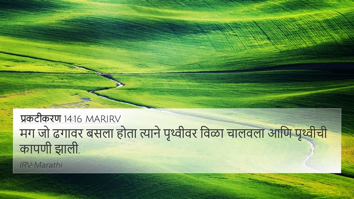 प्रकटीकरण 14:16 MARIRV 4K Wallpaper - मग जो ढगावर बसला - 4K Wallpaper Bible Verse