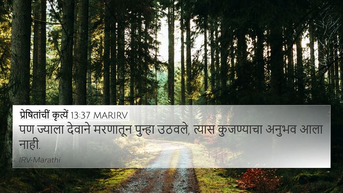 प्रेषितांचीं कृत्यें 13:37 MARIRV Bible Verse Image