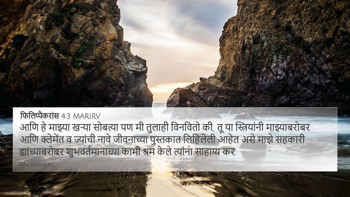 फिलिप्पैकरांस 4:3 MARIRV Bible Verse Image