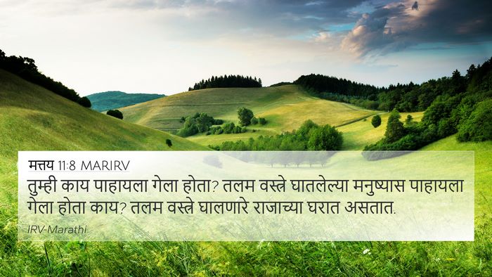 मत्तय 11:8 MARIRV 4K Wallpaper - तुम्ही काय - 4K Wallpaper Bible Verse