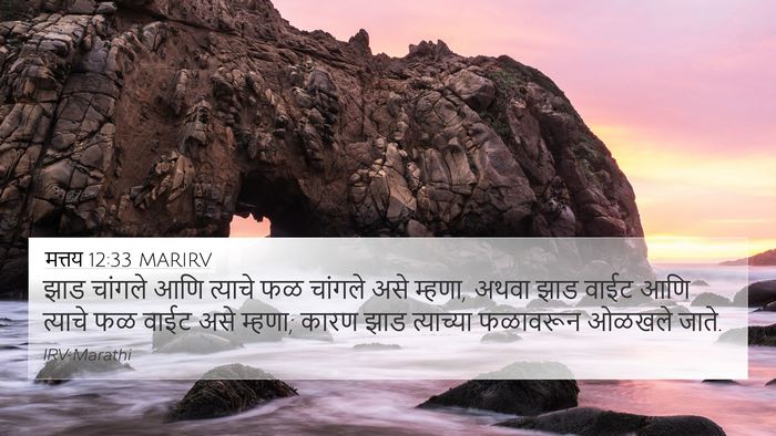 मत्तय 12:33 MARIRV Bible Verse Image