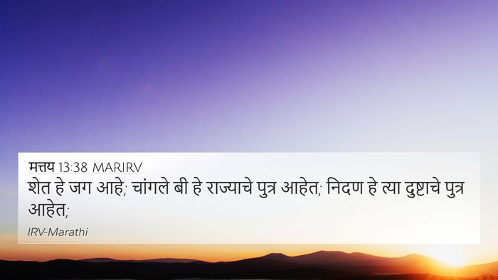 मत्तय 13:38 MARIRV Bible Verse Image
