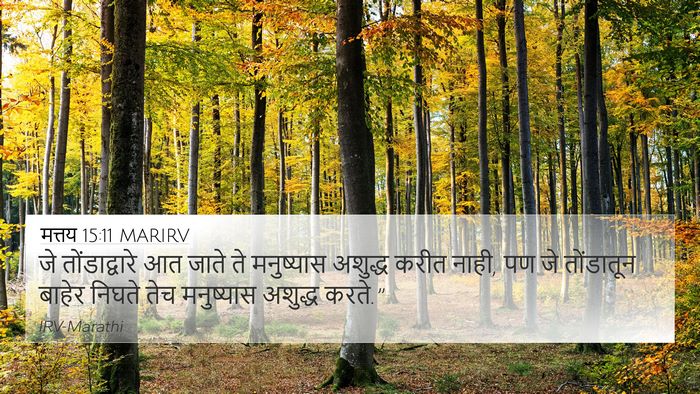 मत्तय 15:11 MARIRV Bible Verse Image