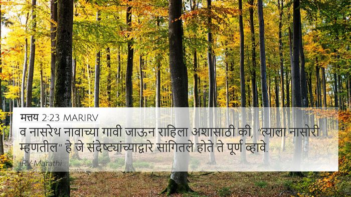 मत्तय 2:23 MARIRV Bible Verse Image