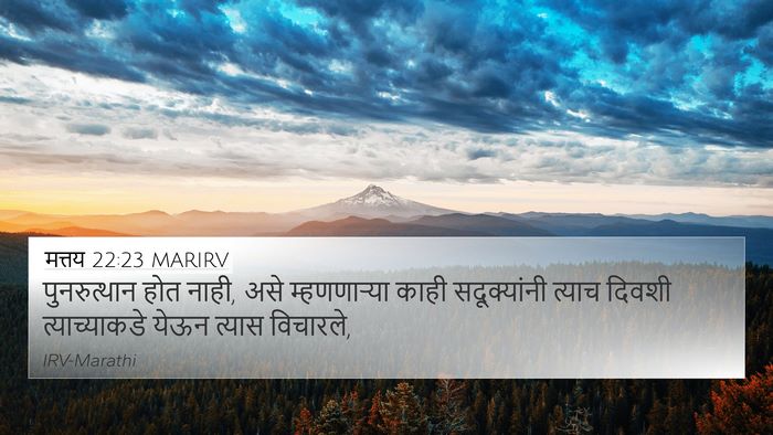 मत्तय 22:23 MARIRV Bible Verse Image