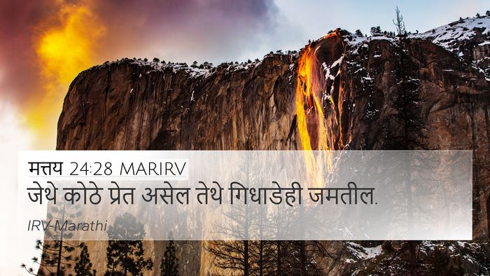 मत्तय 24:28 MARIRV Bible Verse Image