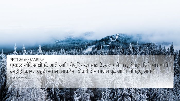 मत्तय 26:60 MARIRV 4K Wallpaper - पुष्कळ खोटे - 4K Wallpaper Bible Verse