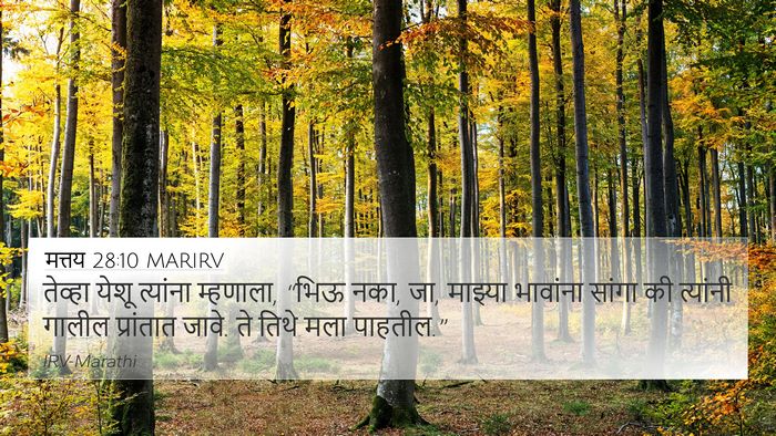मत्तय 28:10 MARIRV Bible Verse Image