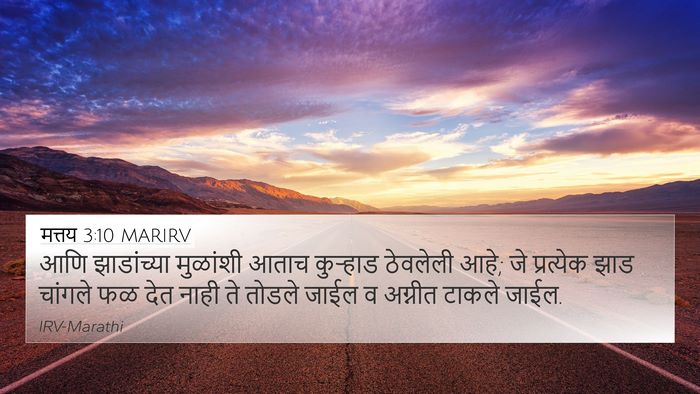 मत्तय 3:10 MARIRV 4K Wallpaper - आणि झाडांच्या - 4K Wallpaper Bible Verse