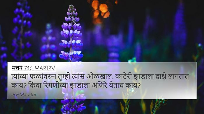 मत्तय 7:16 MARIRV Bible Verse Image