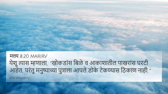 मत्तय 8:20 MARIRV Bible Verse Image