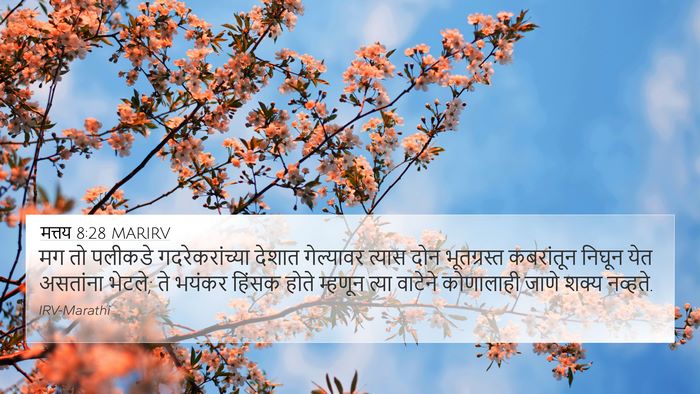 मत्तय 8:28 MARIRV Bible Verse Image
