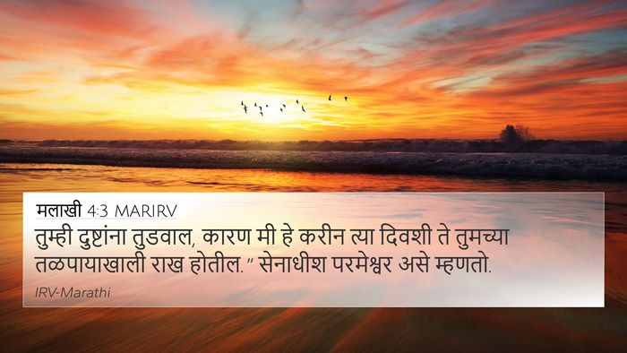 मलाखी 4:3 MARIRV Bible Verse Image