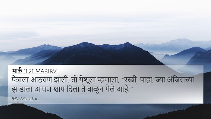 मार्क 11:21 MARIRV 4K Wallpaper - पेत्राला आठवण - 4K Wallpaper Bible Verse