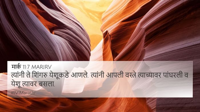 मार्क 11:7 MARIRV 4K Wallpaper - त्यांनी ते शिंगरु - 4K Wallpaper Bible Verse