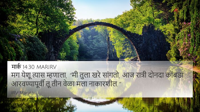 मार्क 14:30 MARIRV Bible Verse Image