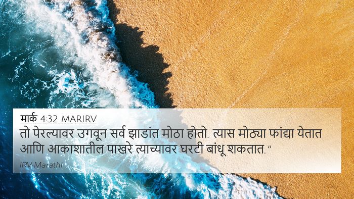 मार्क 4:32 MARIRV 4K Wallpaper - तो पेरल्यावर - 4K Wallpaper Bible Verse
