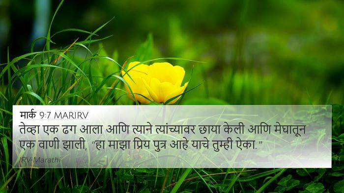 मार्क 9:7 MARIRV Bible Verse Image