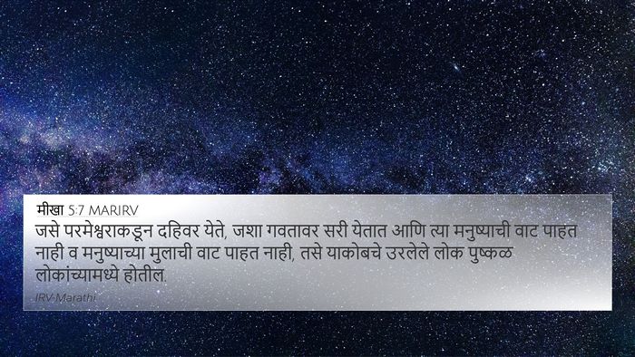 मीखा 5:7 MARIRV Bible Verse Image