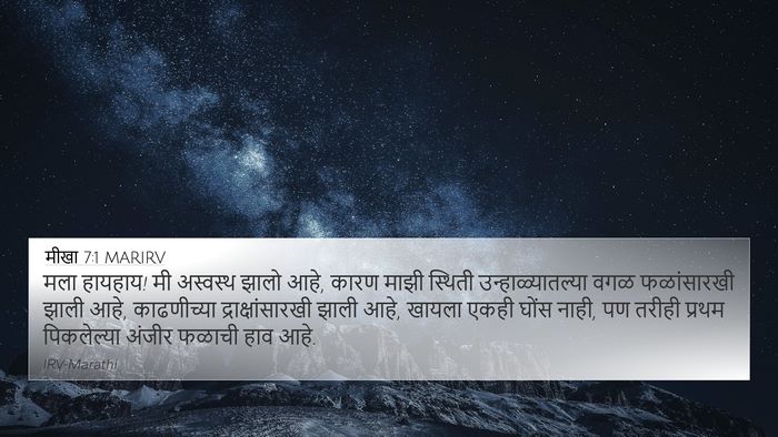 मीखा 7:1 MARIRV Bible Verse Image