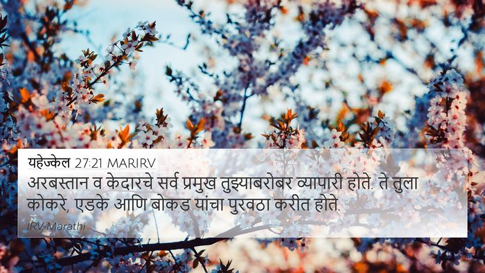 यहेज्केल 27:21 MARIRV Bible Verse Image