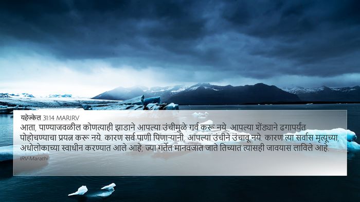 यहेज्केल 31:14 MARIRV 4K Wallpaper - आता, पाण्याजवळील - 4K Wallpaper Bible Verse