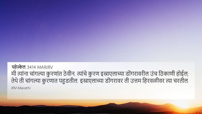 यहेज्केल 34:14 MARIRV Bible Verse Image