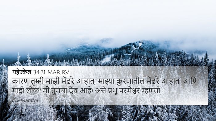 यहेज्केल 34:31 MARIRV Bible Verse Image