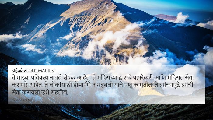यहेज्केल 44:11 MARIRV Bible Verse Image