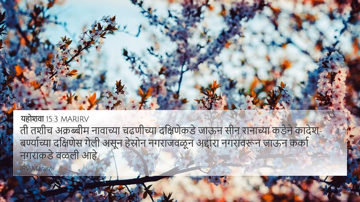 यहोशवा 15:3 MARIRV 4K Wallpaper - ती तशीच अक्रब्बीम - 4K Wallpaper Bible Verse