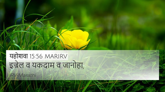 यहोशवा 15:56 MARIRV 4K Wallpaper - इज्रेल व यकदाम व - 4K Wallpaper Bible Verse